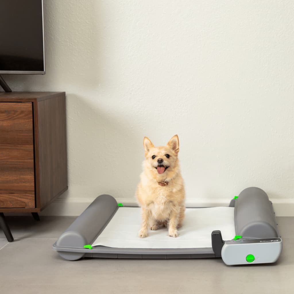 BrilliantPad — front view
