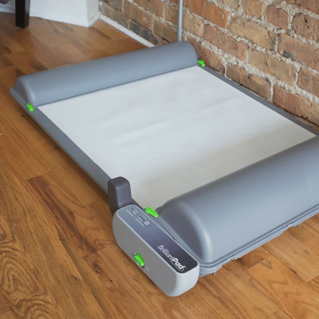 BrilliantPad — dog using the pad